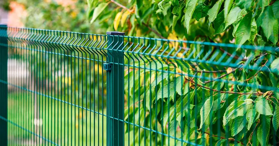 imagem item seçao final